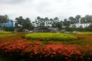 世纪公园