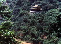 璧津楼