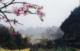 筠连古楼山