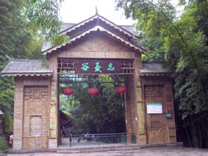 忘忧谷