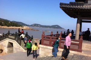 紫竹林