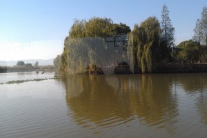 下渚湖湿地