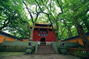 法雨禅寺