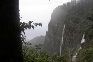 瓦屋山森林公园