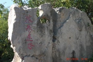 狼巷迷谷
