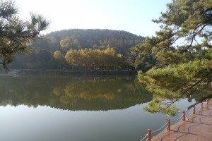 如琴湖