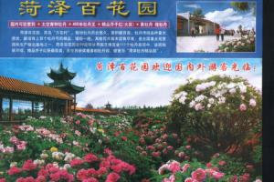 百花园