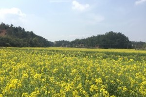 石牛寨风景区