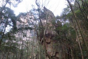 凤栖山