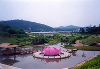 帽峰九龙涧