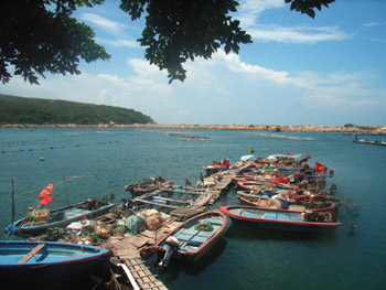 高栏岛