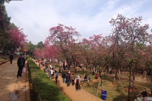 圆通寺
