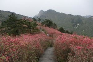 杜鹃花溪漂流