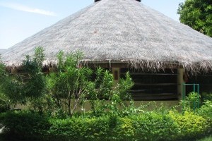 瓦宾法鲁岛